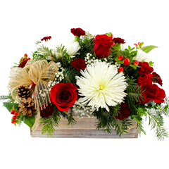 Christmas flowers with red roses, carnations, mums and pine greens for Christmas flowers delivery.