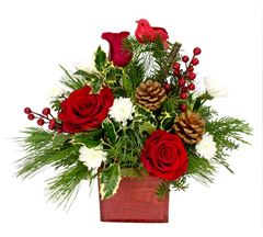 Christmas flowers with red roses, mums and pine greenery for Christmas flowers delivery.