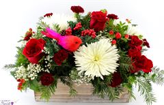 Red Cardinal Rectangle includes spider mums, berries, pines, red roses & carnations in a wooden cube