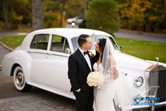 Roses & Baby's Breath Bridal Bouquet - Round Clutch Style